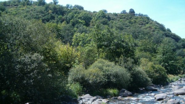Río Sil