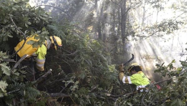 La Junta destina más de 1,6 millones a dos nuevas cuadrillas contra incendios en León, una de ellas para la comarca forestal de Villablino